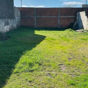 99870005-372b-441d-a836-4a592514465e