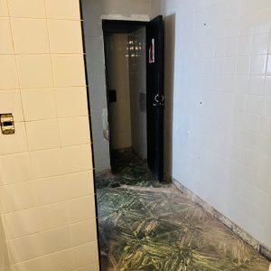 Imagen de WhatsApp 2025-11-10 a las 10.06.10_5bc3c40a