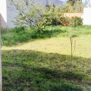 KxDOqb5XTF2p8l1yP9k5Mw_thumb_15a8