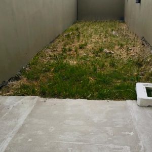 WhatsApp Image 2026-02-25 at 17.20.52