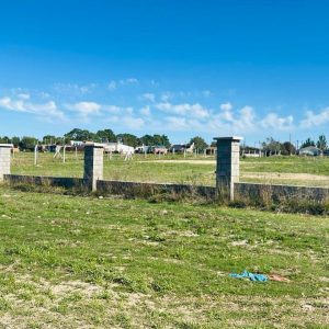 WhatsApp Image 2026-03-31 at 10.58.03 (2)