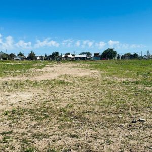 WhatsApp Image 2026-03-31 at 10.58.03